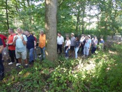 kompaniewanderung 2024461